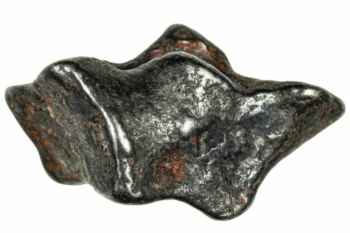 Agoudal Iron Meteorite ( g) - Morocco #303944